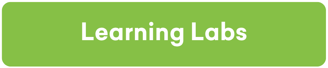 Learning Labs
